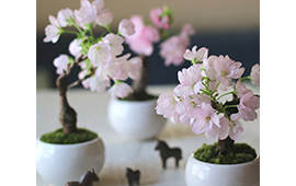 春を楽しむ桜のミニ盆栽教室 東京建物 Brillia ブリリア くらしサイト